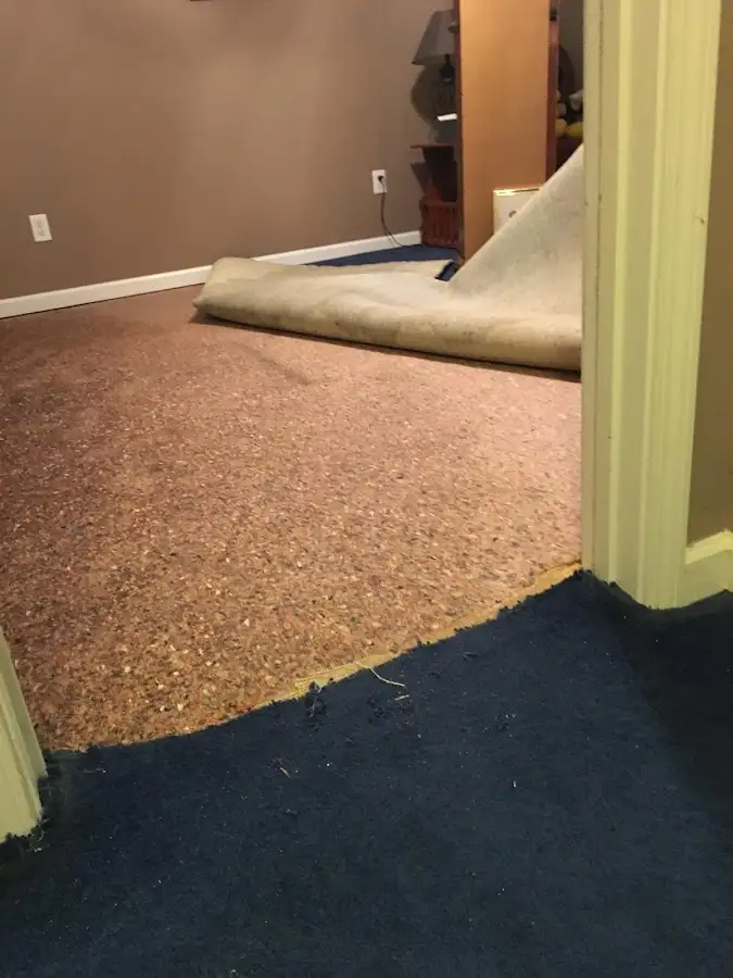 Carpet pad removal revealing water damage during Water Mitigation Services in Sugarmill Woods